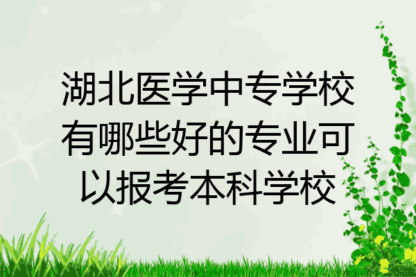 湖北医学中专学校有哪些好的专业可以报考本科学校