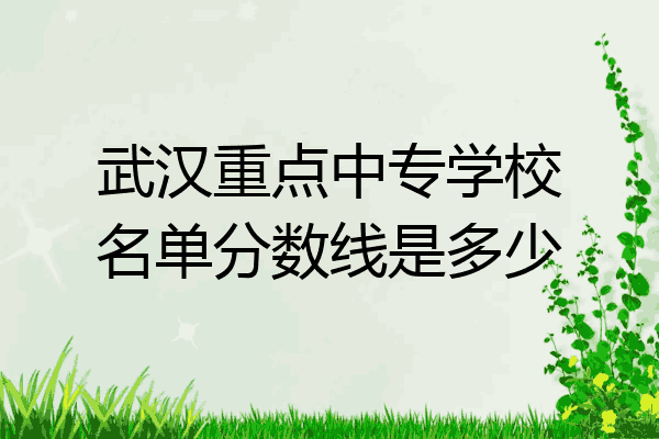 武汉重点中专学校名单分数线是多少