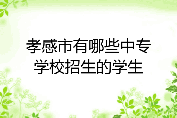 孝感市有哪些中专学校招生的学生