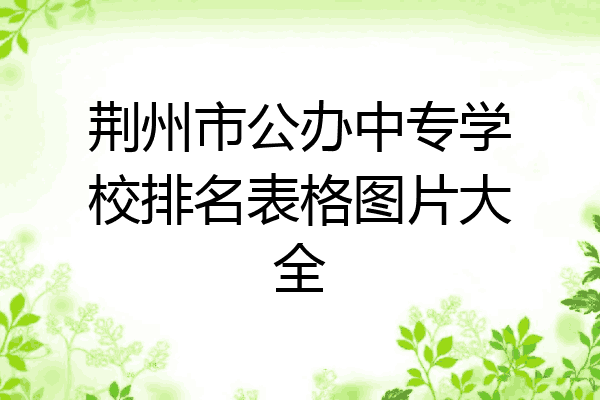 荆州市公办中专学校排名表格图片大全