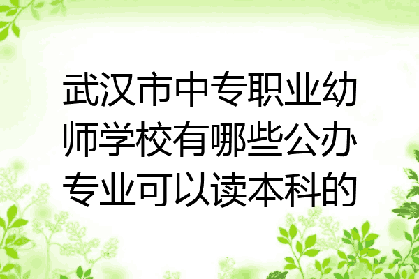 武汉市中专职业幼师学校有哪些公办专业可以读本科的