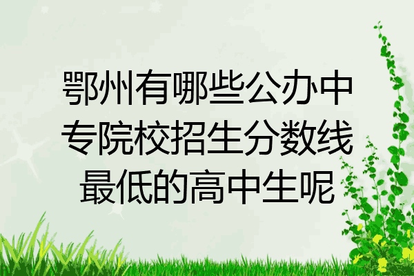 鄂州有哪些公办中专院校招生分数线最低的高中生呢
