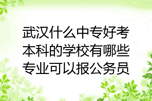 武汉什么中专好考本科的学校有哪些专业可以报公务员