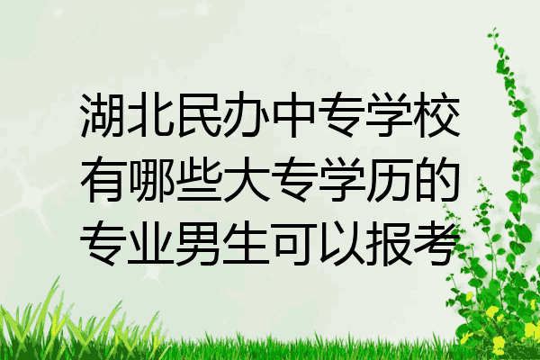 湖北民办中专学校有哪些大专学历的专业男生可以报考