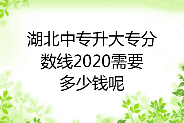 湖北中专升大专分数线2020需要多少钱呢