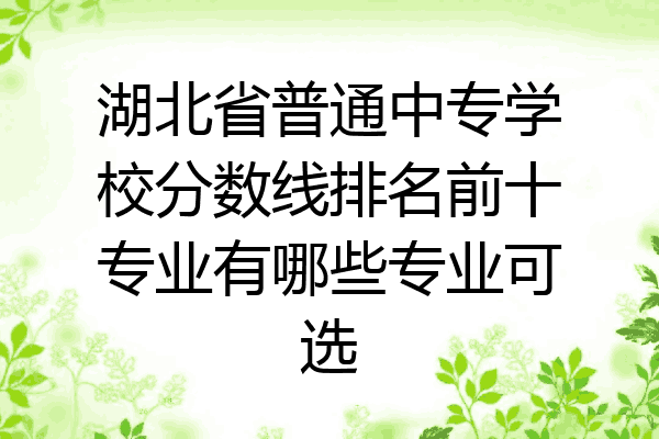 湖北省普通中专学校分数线排名前十专业有哪些专业可选