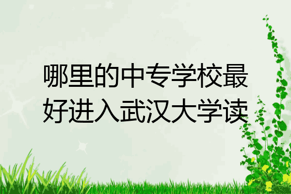 哪里的中专学校最好进入武汉大学读