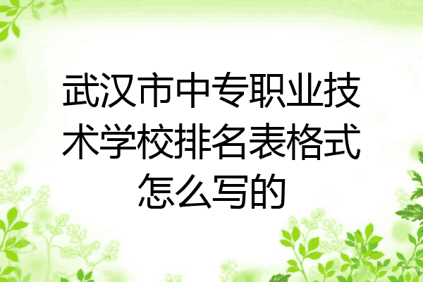 武汉市中专职业技术学校排名表格式怎么写的