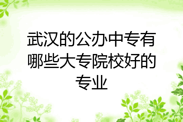 武汉的公办中专有哪些大专院校好的专业