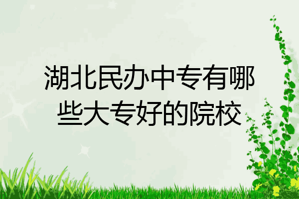 湖北民办中专有哪些大专好的院校