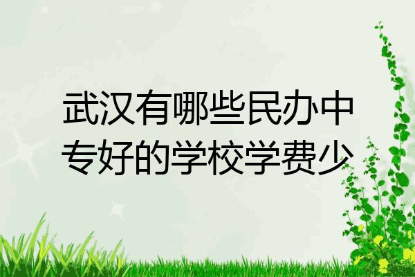 武汉有哪些民办中专好的学校学费少