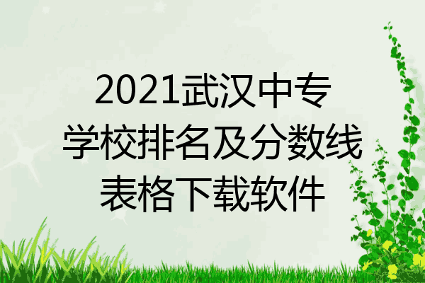 2021武汉中专学校排名及分数线表格下载软件