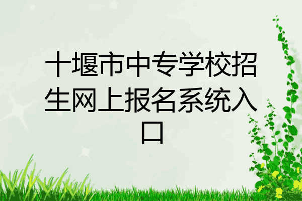 十堰市中专学校招生网上报名系统入口