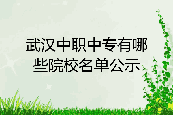 武汉中职中专有哪些院校名单公示