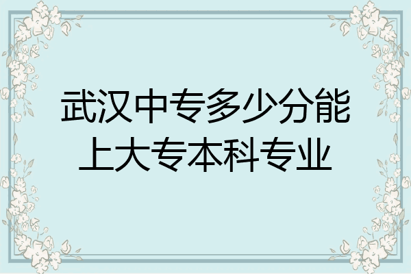 武汉中专多少分能上大专本科专业