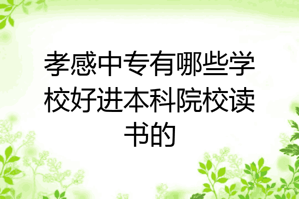 孝感中专有哪些学校好进本科院校读书的