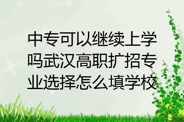中专可以继续上学吗武汉高职扩招专业选择怎么填学校