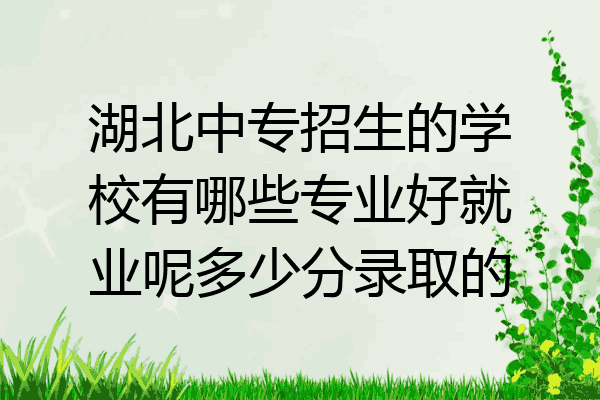 湖北中专招生的学校有哪些专业好就业呢多少分录取的