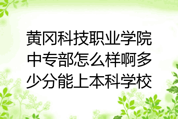 黄冈科技职业学院中专部怎么样啊多少分能上本科学校