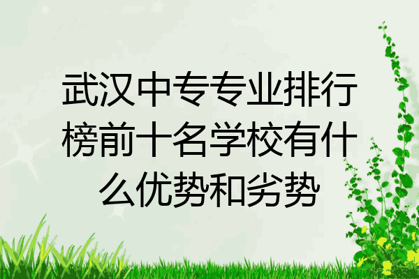 武汉中专专业排行榜前十名学校有什么优势和劣势