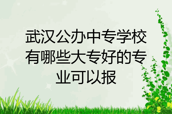 武汉公办中专学校有哪些大专好的专业可以报