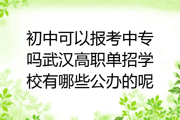 初中可以报考中专吗武汉高职单招学校有哪些公办的呢