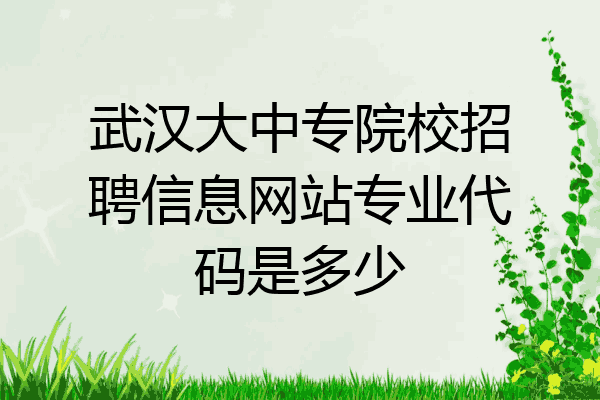 武汉大中专院校招聘信息网站专业代码是多少