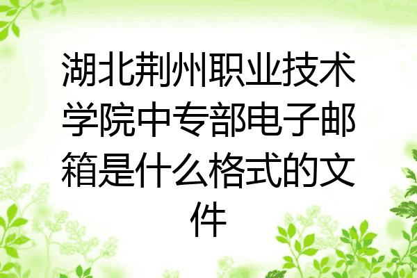 湖北荆州职业技术学院中专部电子邮箱是什么格式的文件