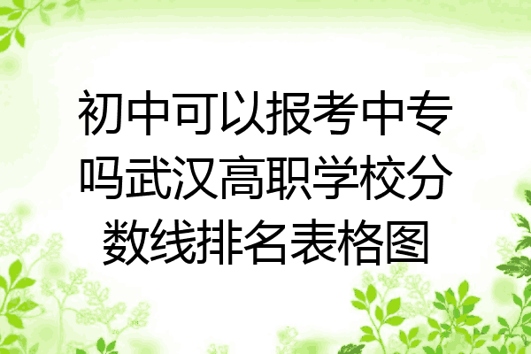 初中可以报考中专吗武汉高职学校分数线排名表格图