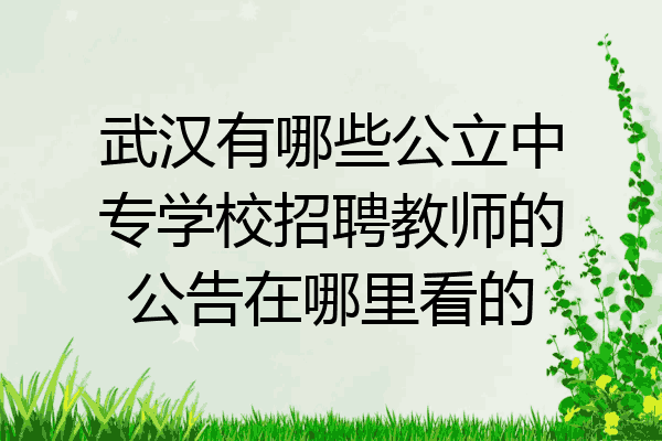 武汉有哪些公立中专学校招聘教师的公告在哪里看的