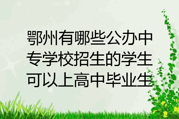 鄂州有哪些公办中专学校招生的学生可以上高中毕业生