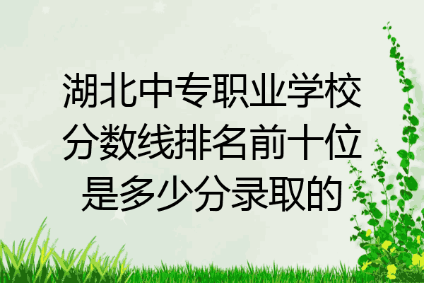 湖北中专职业学校分数线排名前十位是多少分录取的