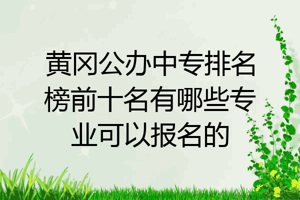 黄冈公办中专排名榜前十名有哪些专业可以报名的