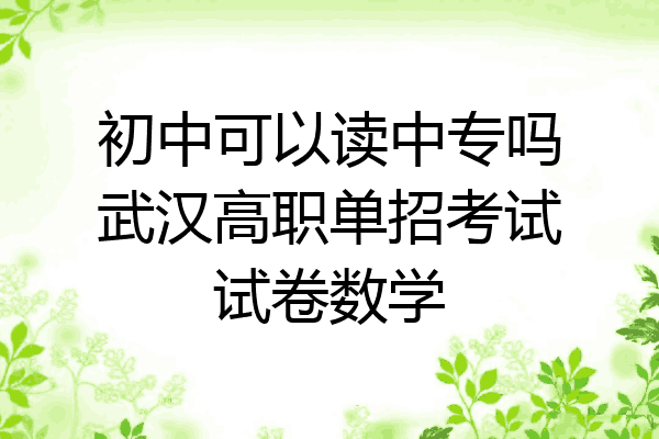 初中可以读中专吗武汉高职单招考试试卷数学