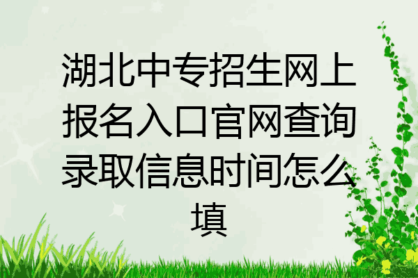 湖北中专招生网上报名入口官网查询录取信息时间怎么填