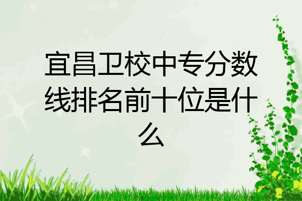 宜昌卫校中专分数线排名前十位是什么