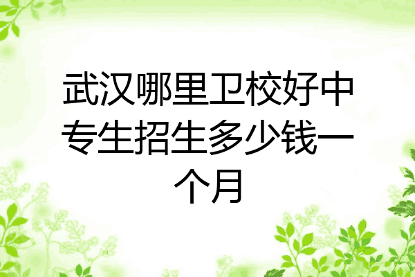 武汉哪里卫校好中专生招生多少钱一个月