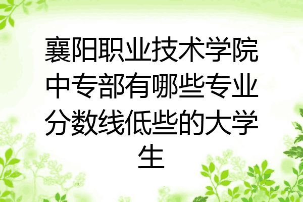 襄阳职业技术学院中专部有哪些专业分数线低些的大学生