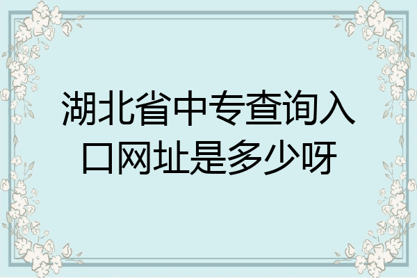 湖北省中专查询入口网址是多少呀