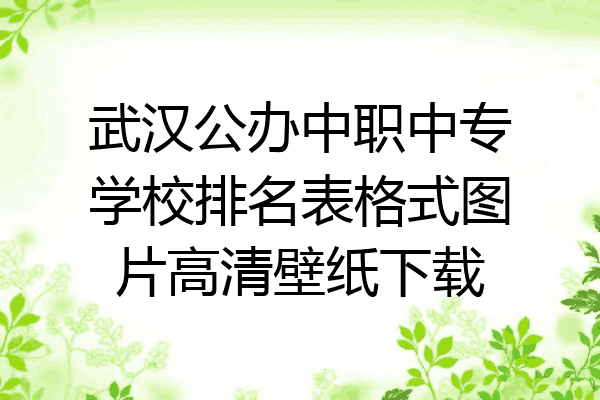 武汉公办中职中专学校排名表格式图片高清壁纸下载