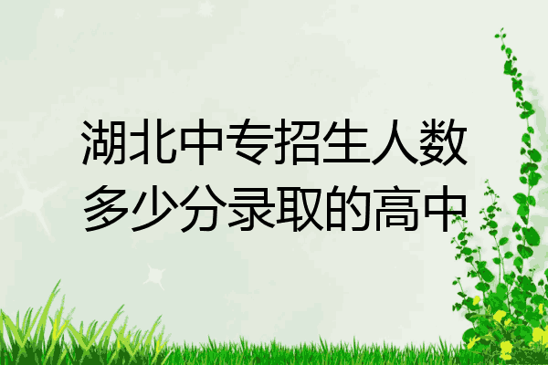湖北中专招生人数多少分录取的高中