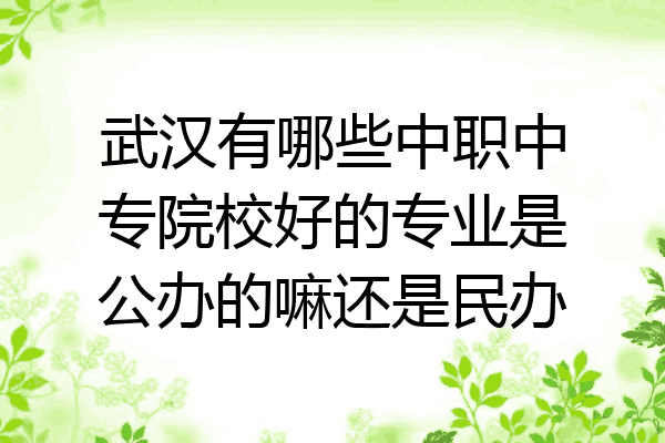 武汉有哪些中职中专院校好的专业是公办的嘛还是民办