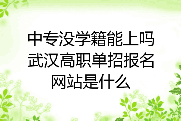 中专没学籍能上吗武汉高职单招报名网站是什么