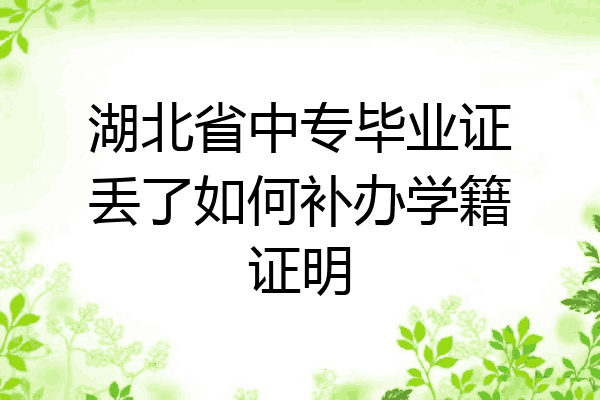 湖北省中专毕业证丢了如何补办学籍证明
