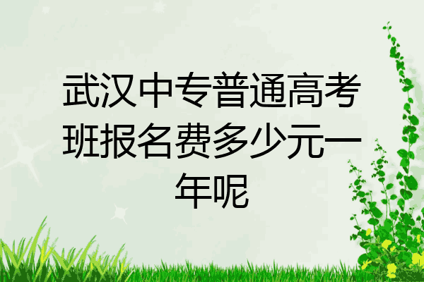 武汉中专普通高考班报名费多少元一年呢
