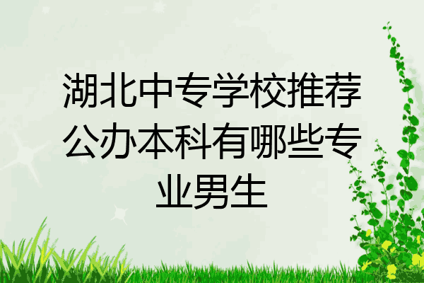 湖北中专学校推荐公办本科有哪些专业男生