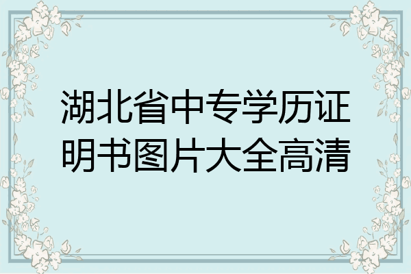 湖北省中专学历证明书图片大全高清