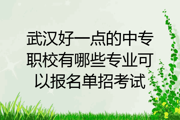 武汉好一点的中专职校有哪些专业可以报名单招考试
