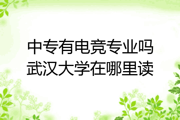 中专有电竞专业吗武汉大学在哪里读