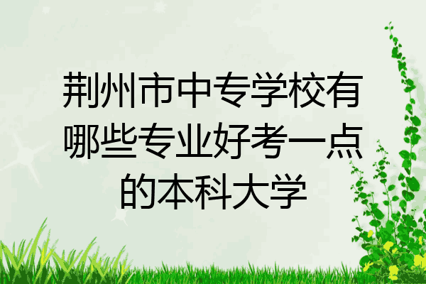 荆州市中专学校有哪些专业好考一点的本科大学